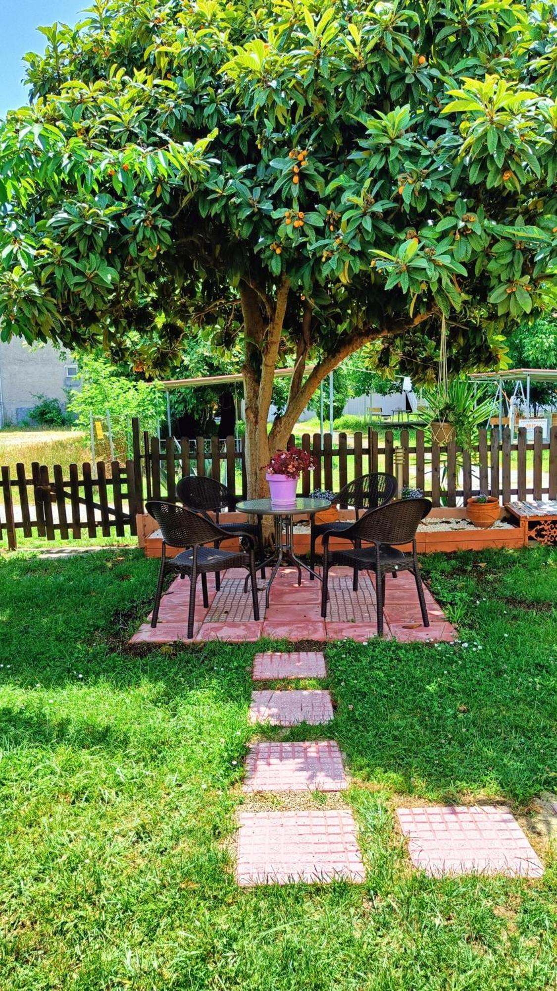 الشقق الفندقية ليبتوكاريافي  Garden House Katerina المظهر الخارجي الصورة
