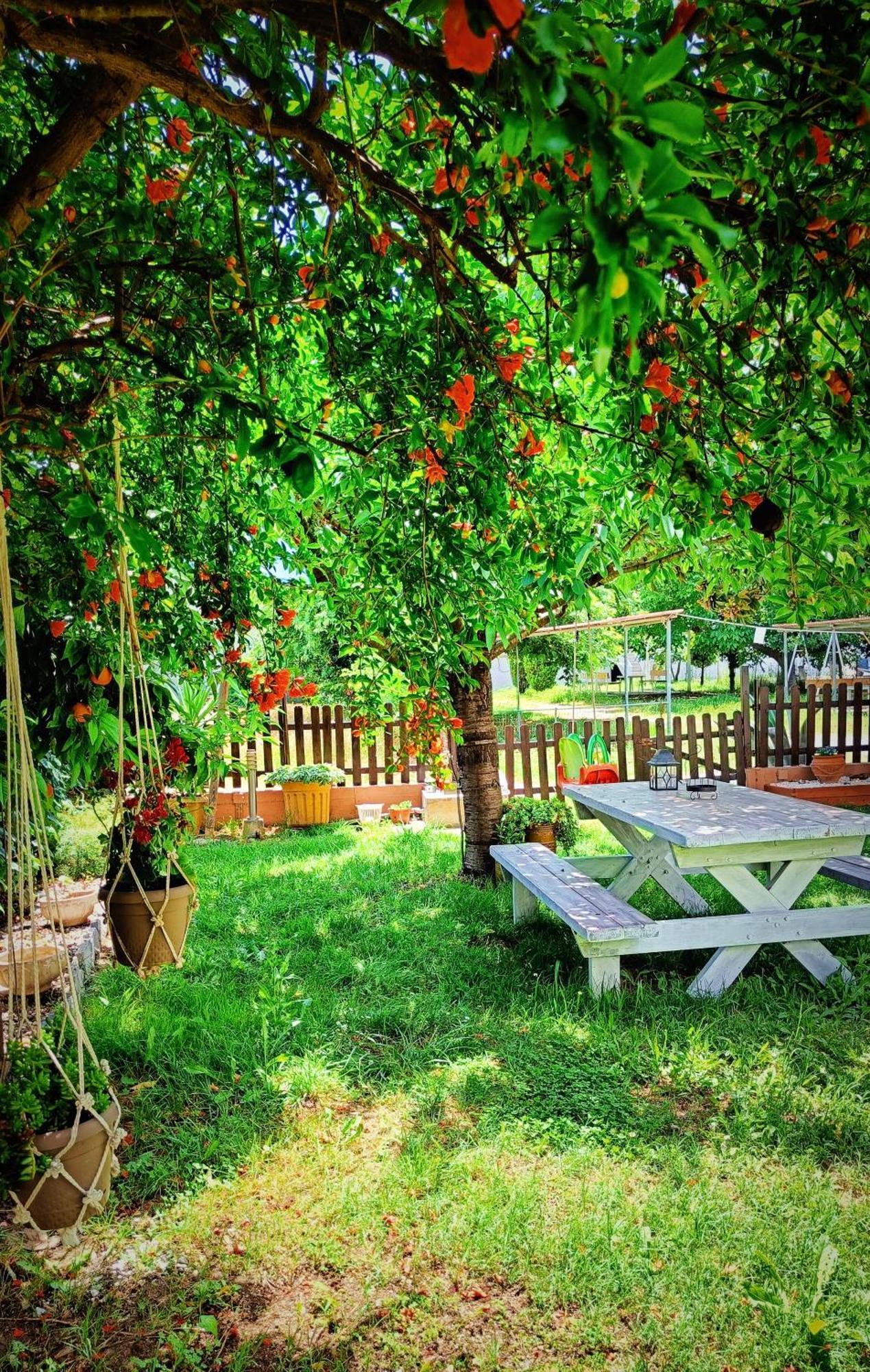 الشقق الفندقية ليبتوكاريافي  Garden House Katerina المظهر الخارجي الصورة